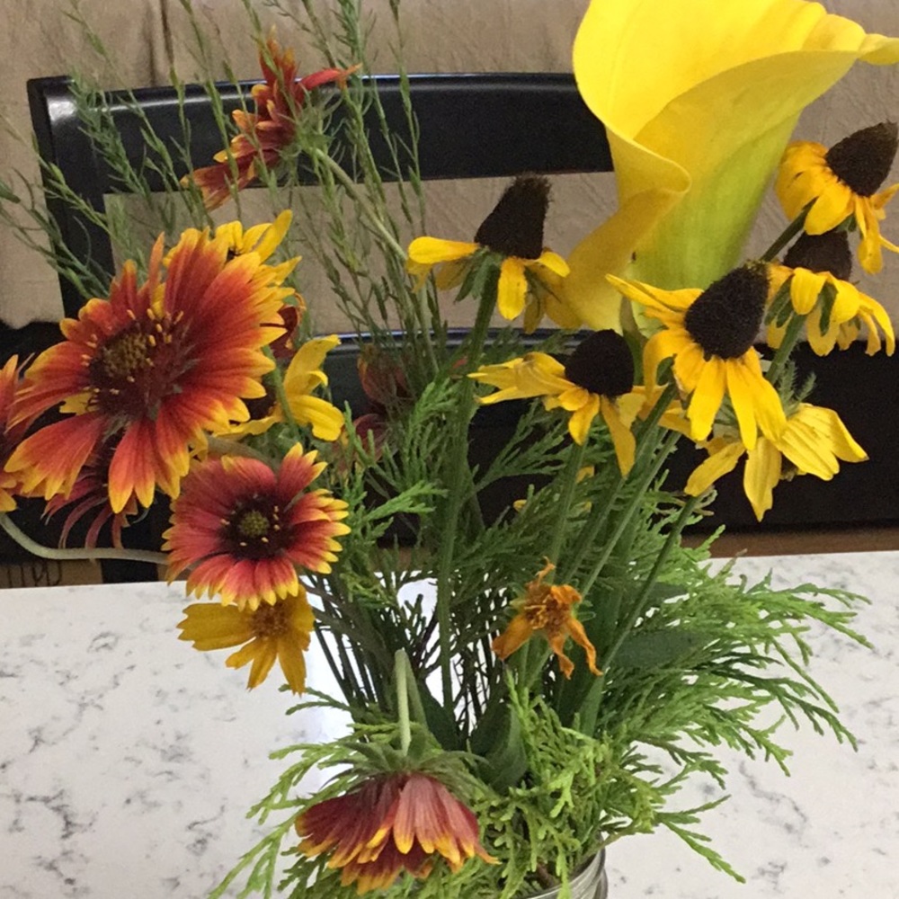 Meet your Posh Ambassador Cindy